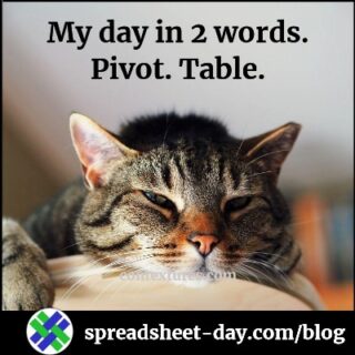 My day in two words. Pivot. Table