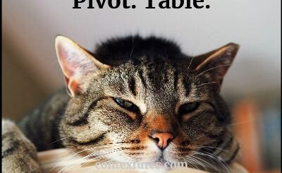 My day in two words. Pivot. Table